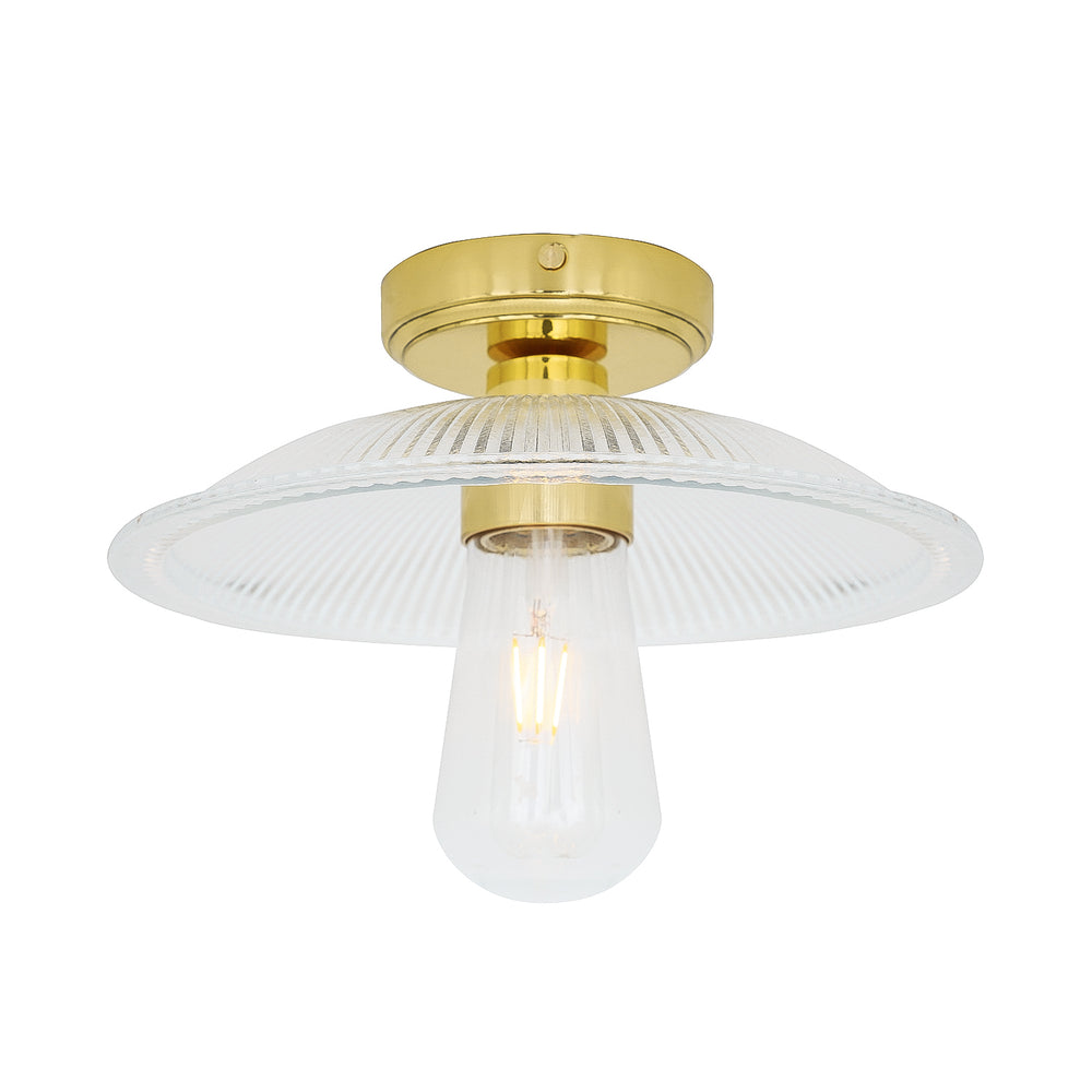 Gal Ceiling Light