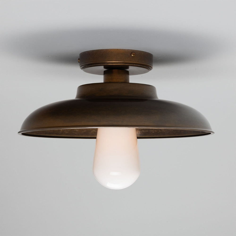 Darya Ceiling Light