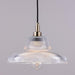 Aquarius 30cm Pendant Light