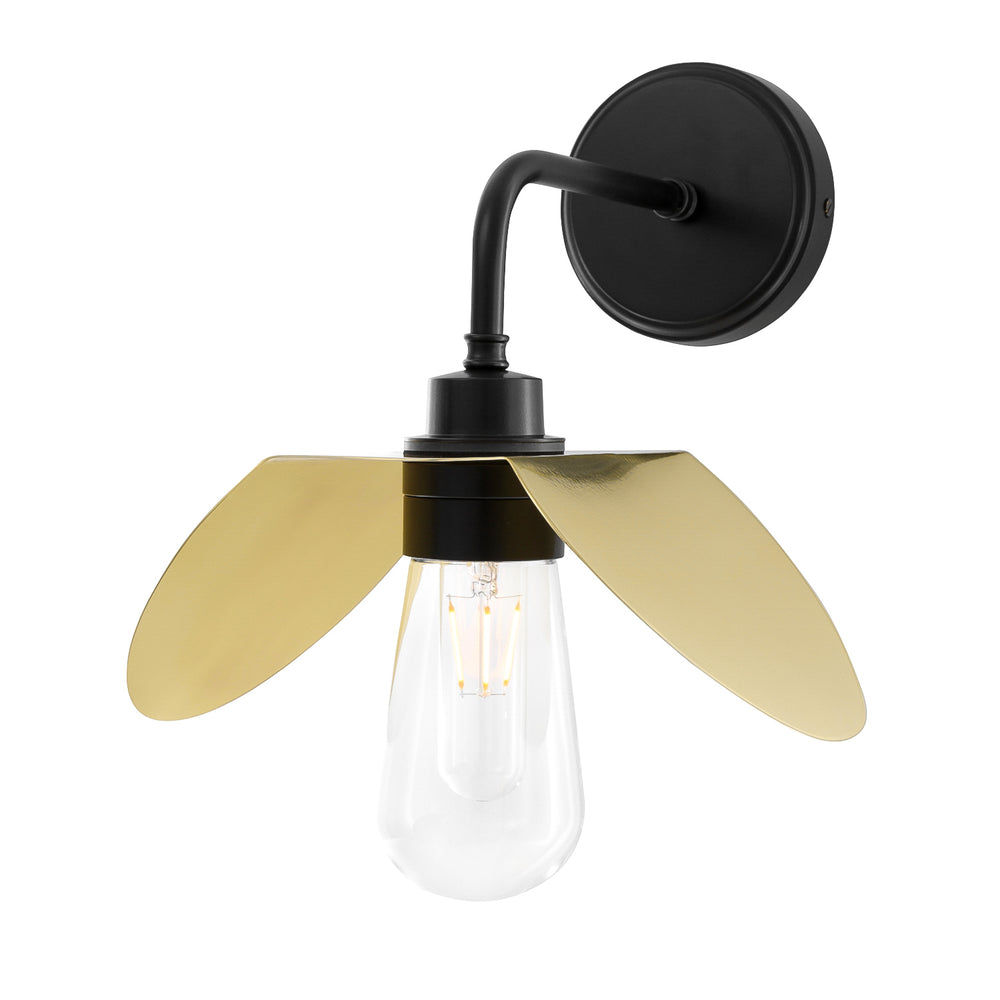 Hali Wall Light
