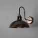 Talise Swan Neck Wall Light