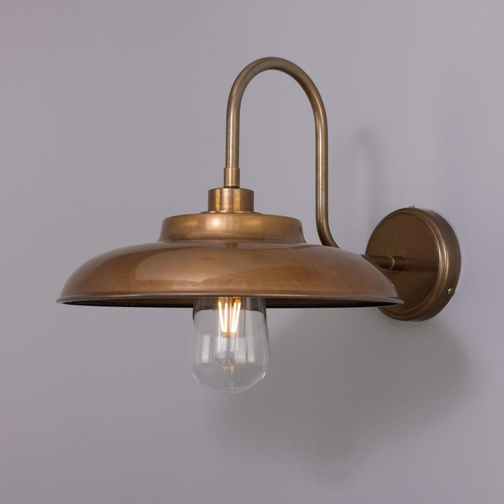 Darya Swan Neck Wall Light