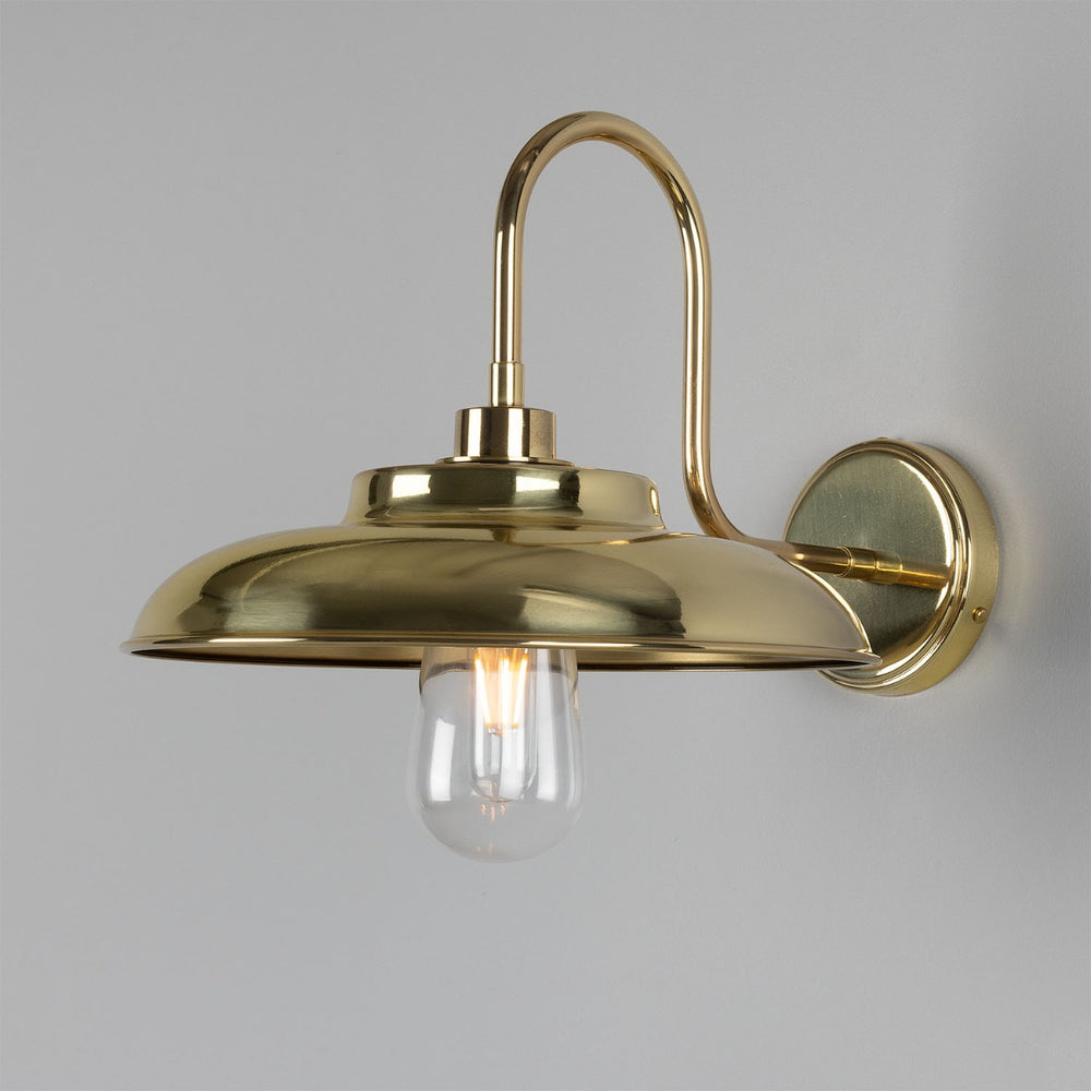 Lumière murale du cou de gastronomie Darya