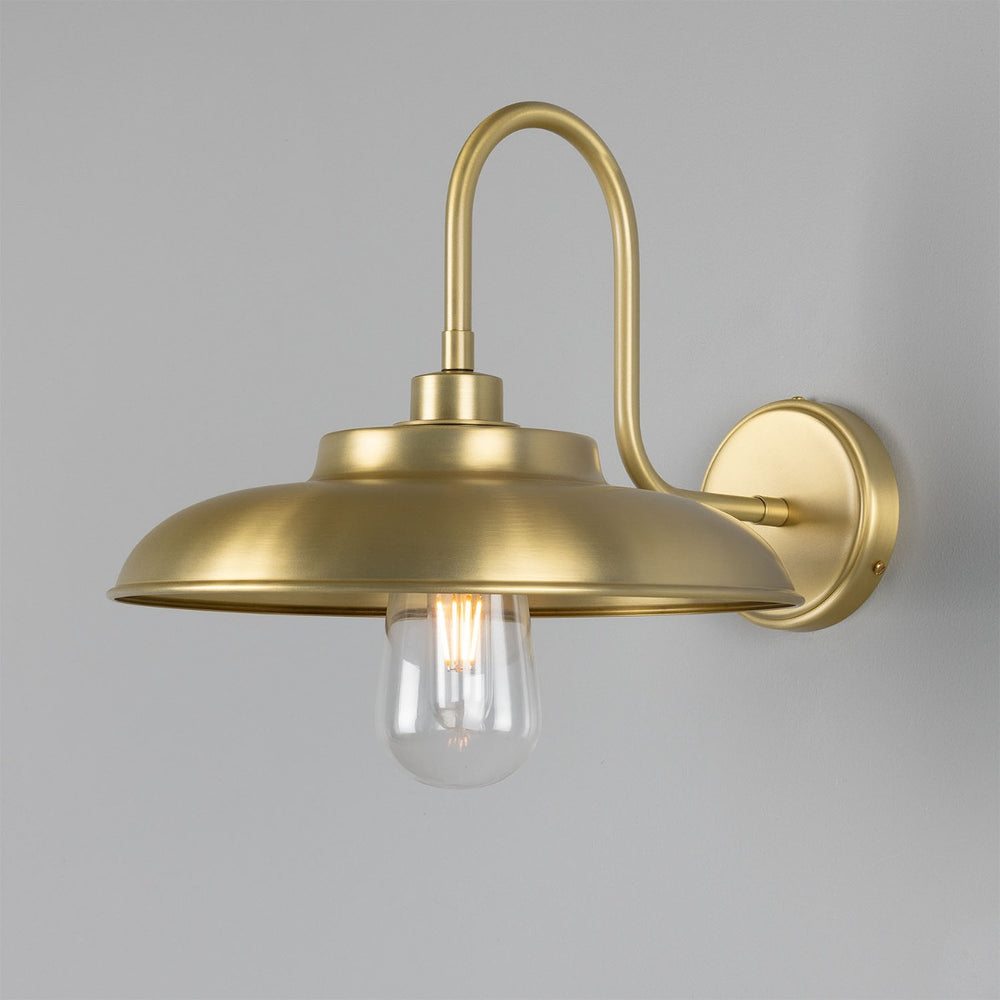 Lumière murale du cou de gastronomie Darya