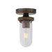 Oregon-B Ceiling Light