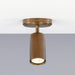 Evanston Ceiling Light
