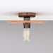 Bog Oak Ceiling Light