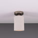 Senna Ceiling Light
