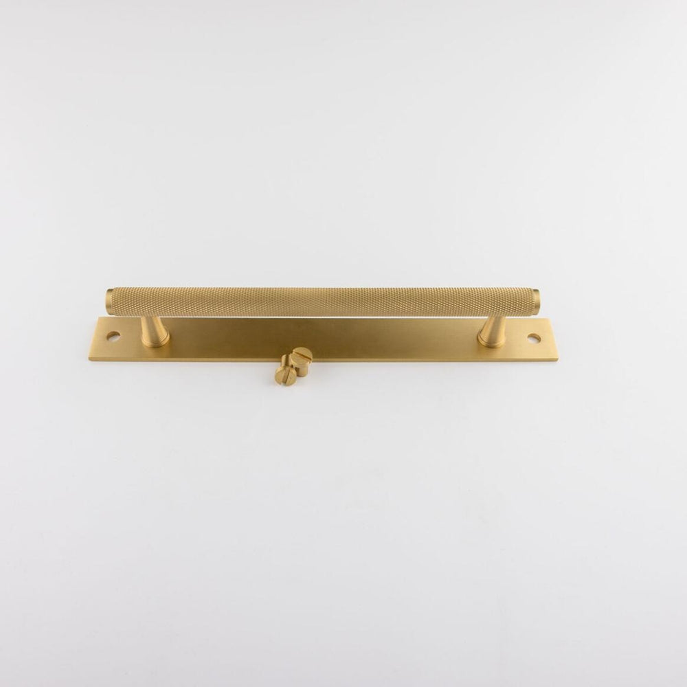 Lincoln Brass Handle with Backplate