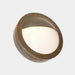 Begawan 27cm Semi - Flush Wall Light