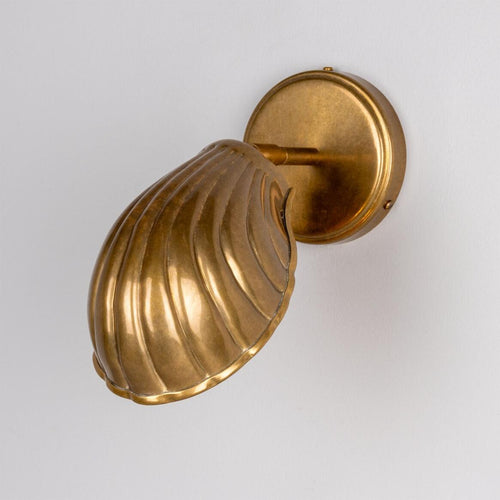 Shell Wall Light