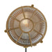 Pasha Wall Light