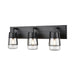 DVI Canada - Three Light Vanity - Lake Of The Woods - Graphite w/Clear Glass- Union Lighting Luminaires Decor