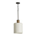 Capital Lighting - One Light Pendant - Destin - Dark Pewter- Union Lighting Luminaires Decor