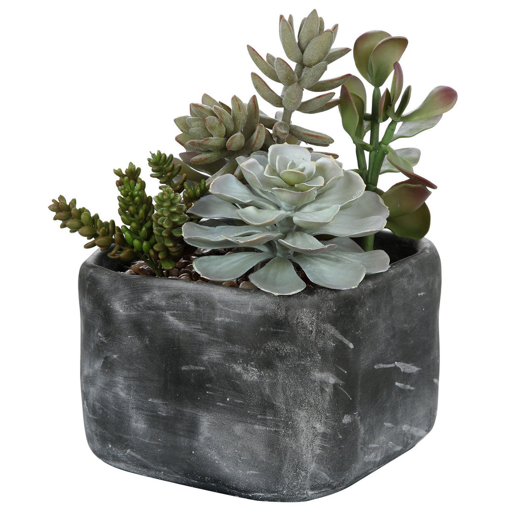 Uttermost - Succulents - Alverio - Charcoal Gray- Union Lighting Luminaires Decor