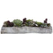 Uttermost - Succulents - Charita - Greens And Burgundy- Union Lighting Luminaires Decor