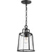 Progress Canada - One Light Hanging Lantern - Benton Harbor - Black- Union Lighting Luminaires Decor