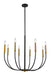 Z-Lite Canada - Eight Light Chandelier - Haylie - Matte Black / Olde Brass- Union Lighting Luminaires Decor