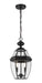 Z-Lite Canada - Two Light Outdoor Chain Mount Ceiling Fixture - Westover - Black- Union Lighting Luminaires Decor