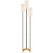 Visual Comfort Signature Canada - Three Light Floor Lamp - Aimee - Bronze and Hand-Rubbed Antique Brass- Union Lighting Luminaires Decor