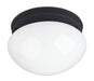 Maxim - One Light Flush Mount - Essentials - 588x - Black- Union Lighting Luminaires Decor