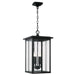 Capital Lighting - Four Light Outdoor Hanging Lantern - Barrett - Black- Union Lighting Luminaires Decor