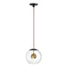 ET2 - LED Pendant - Nucleus - Black / Natural Aged Brass- Union Lighting Luminaires Decor