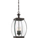 Quoizel - Three Light Pendant - Oasis - Medici Bronze- Union Lighting Luminaires Decor
