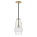 Capital Lighting - One Light Pendant - Dena - Aged Brass- Union Lighting Luminaires Decor