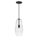 Capital Lighting - One Light Pendant - Dena - Matte Black- Union Lighting Luminaires Decor