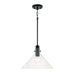 Capital Lighting - One Light Pendant - Greer - Matte Black- Union Lighting Luminaires Decor