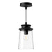 Alora Canada - One Light Exterior Pendant - Quincy - Clear Bubble Glass/Textured Black- Union Lighting Luminaires Decor