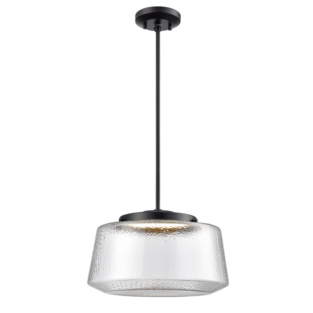 DVI Canada - LED Pendant - Lunenberg CCT - Ebony with Hammered Clear Glass- Union Lighting Luminaires Decor