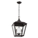 Kichler Canada - Two Light Pendant - Dame - Anvil Iron- Union Lighting Luminaires Decor
