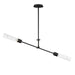 Maxim - LED Pendant - Equilibrium - Black- Union Lighting Luminaires Decor