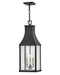 Hinkley Canada - LED Hanging Lantern - Beacon Hill - Museum Black- Union Lighting Luminaires Decor