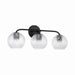 Capital Lighting - Three Light Vanity - Dolan - Matte Black- Union Lighting Luminaires Decor