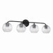Capital Lighting - Four Light Vanity - Dolan - Matte Black- Union Lighting Luminaires Decor
