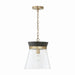Capital Lighting - One Light Pendant - Finn - Black Stain and Matte Brass- Union Lighting Luminaires Decor