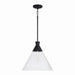 Capital Lighting - One Light Pendant - Paloma - Textured Black- Union Lighting Luminaires Decor
