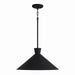 Capital Lighting - One Light Pendant - Paloma - Textured Black- Union Lighting Luminaires Decor