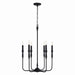 Capital Lighting - Six Light Chandelier - Paloma - Textured Black- Union Lighting Luminaires Decor
