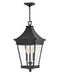 Hinkley Canada - LED Hanging Lantern - Chapel Hill - Museum Black- Union Lighting Luminaires Decor