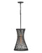Hinkley Canada - LED Pendant - Twyla - Black- Union Lighting Luminaires Decor