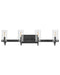 Hinkley Canada - LED Vanity - Ryden - Black- Union Lighting Luminaires Decor