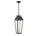 Savoy House - LED Outdoor Hanging Lantern - Brookline - Matte Black- Union Lighting Luminaires Decor
