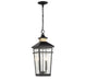 Savoy House - Two Light Outdoor Hanging Lantern - Kingsley - Matte Black w/Warm Brass- Union Lighting Luminaires Decor