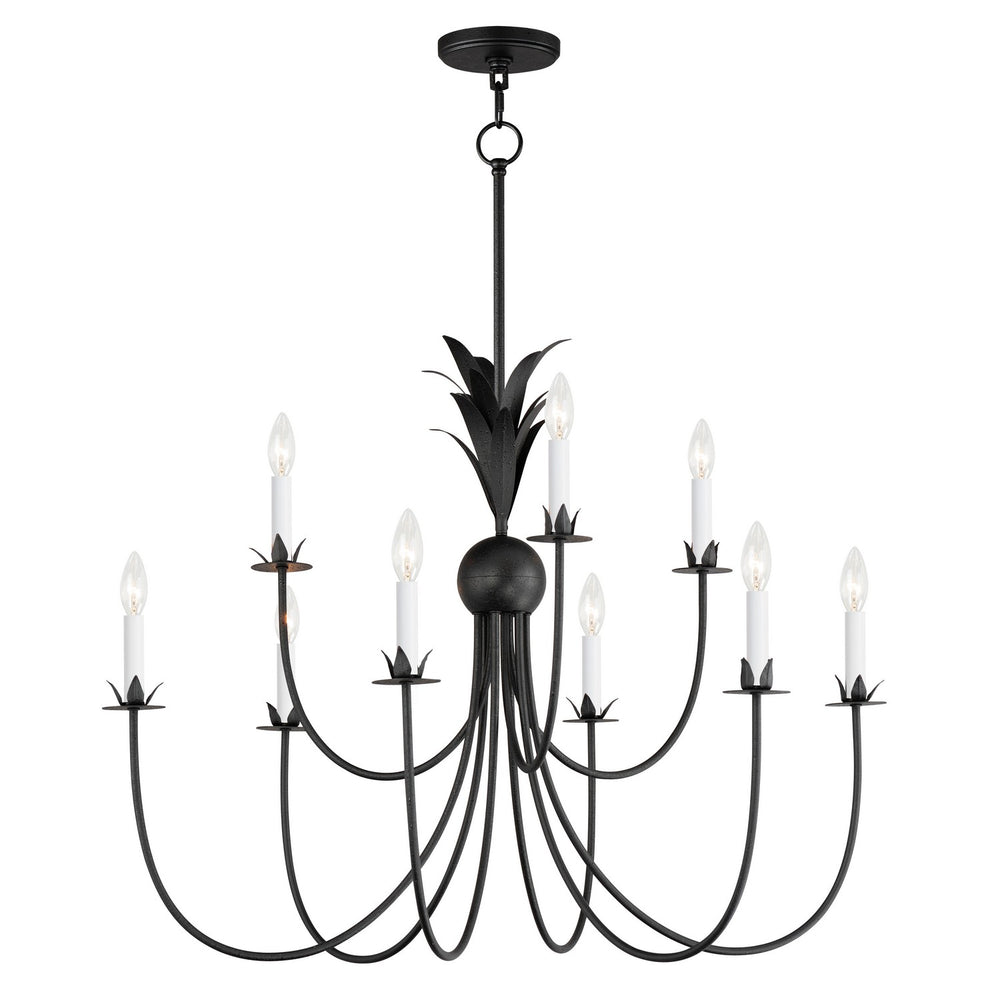 Maxim - Nine Light Chandelier - Paloma - Anthracite- Union Lighting Luminaires Decor