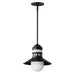 Maxim - One Light Outdoor Pendant - Admiralty - Black- Union Lighting Luminaires Decor