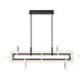 Eurofase Canada - LED Chandelier - Inizio - Black- Union Lighting Luminaires Decor